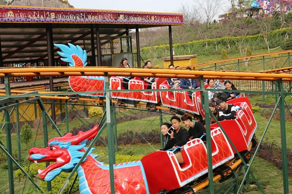 family dragon roller coaster in amusement park